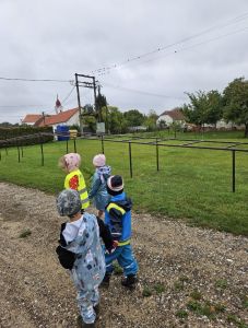 Vlaštovičko leť - projektový den